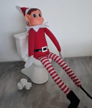 Elf toilet & 3 rolls of paper