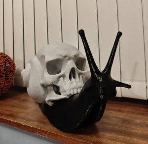 Skull snail